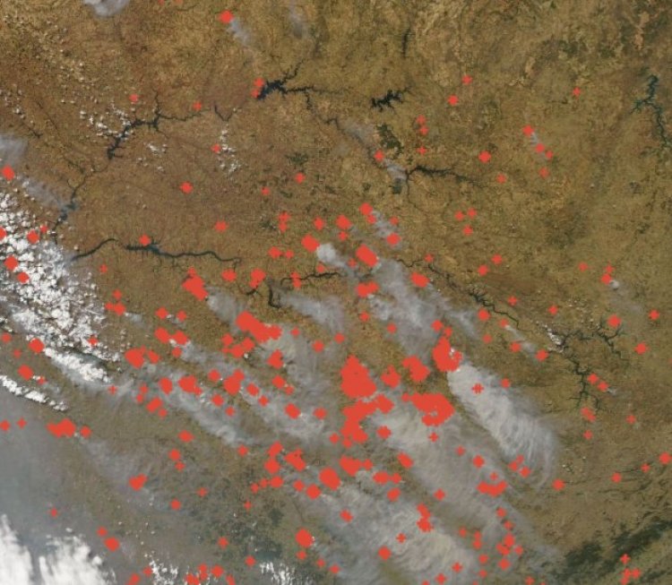 Queimadas Devastadoras na Região: Barretos, Guaíra, Colômbia, Planura e Frutal Sofrem com Incêndios em Canaviais e Áreas de Mata