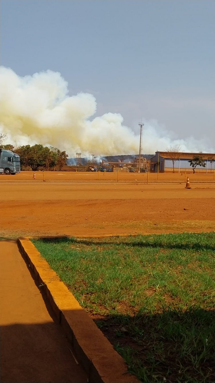 Queimadas Devastadoras na Região: Barretos, Guaíra, Colômbia, Planura e Frutal Sofrem com Incêndios em Canaviais e Áreas de Mata